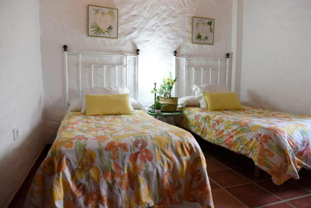 Hacienda San Francisco Villa Prado Del Rey Buitenkant foto