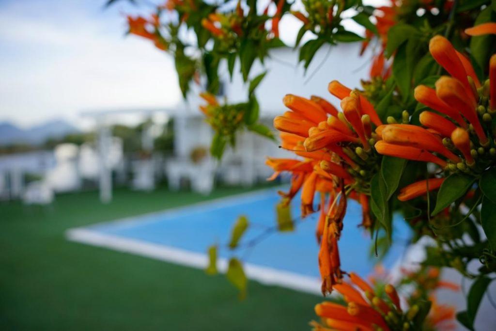 Hacienda San Francisco Villa Prado Del Rey Buitenkant foto